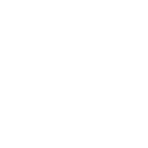 cartoon network Logo